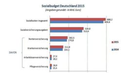 Sozialbudget_2015