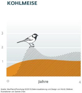 Lebenserwartung Kohlmeise