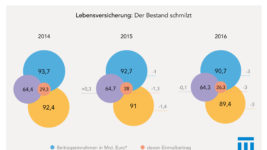 Lebensversicherung: Der Bestand schmilzt