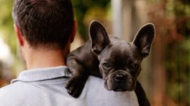 Hund und Herrchen